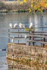 Lago di posta fibreno