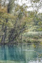 Lago di posta fibreno