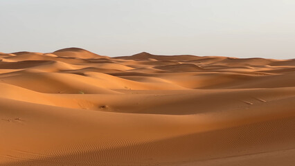 A trip to Sahara desert in Morocco. Beautiful 
african travel photo. Sandy landscapes,  
dunes, and nature. Summer vacation in arab country.
