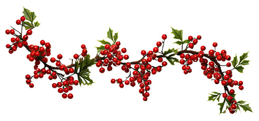 Naklejka na ściany i meble PNG Christmas garland christmas cherry plant.