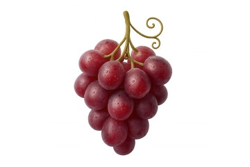 Fototapeta premium Fresh red grape bunch with water droplets, delicious healthy fruit, sweet snack, organic dessert ingredient, transparent background