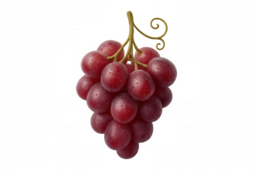 Fresh red grape bunch with water droplets, delicious healthy fruit, sweet snack, organic dessert ingredient, transparent background