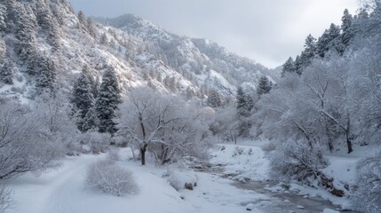 Majestic mountains covered in snow create a serene winter scene while a gentle creek meanders through frost-covered trees and white terrain.