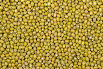 Mung bean or green gram background 