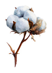 Fototapeta premium PNG Delicate watercolor cotton plant illustration.