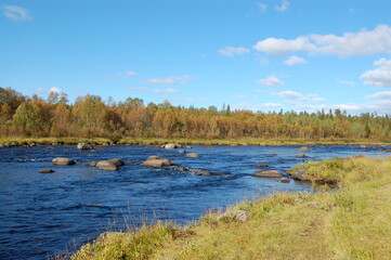 A small, turbulent northern river on a sunny summer day. The vibrant colors of polar nature in good weather.