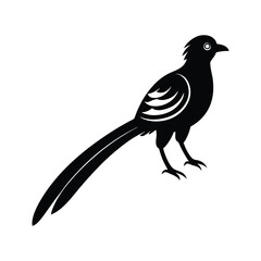 Quetzal Bird National Symbol Vector Illustration