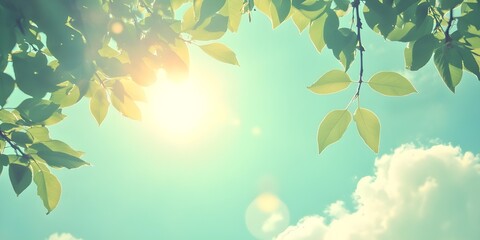 green leaves and sun