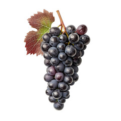 Fototapeta premium Fresh black grape bunch with green leaf, isolated on transparent background
