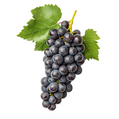 Fototapeta premium Fresh black grape bunch with green leaf, isolated on transparent background