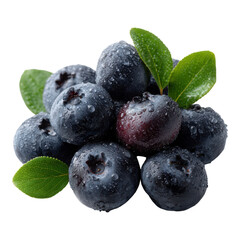 Fresh Blueberries with Water Droplets and Green Leaves on White Background