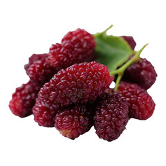 Fresh Ripe Mulberries with Green Leaf Isolated on White Background