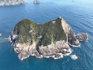 愛媛県愛南町　大猿島