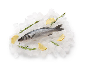 Fresh seabass fish, ice cubes, rosemary twigs and pieces of lemon isolated on white background, closeup