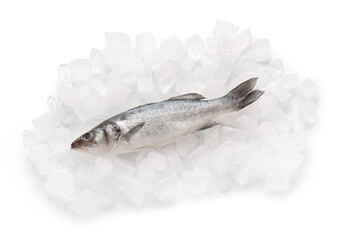 Fresh uncooked seabass fish and ice cubes isolated on white background, closeup