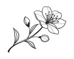 Elegant Cherry Blossom Branch Illustration in Black and White Floral Design for Spring Projects and Decor