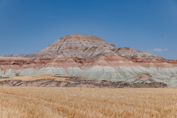 Nallihan Bird Sanctuary Rainbow Hills 
