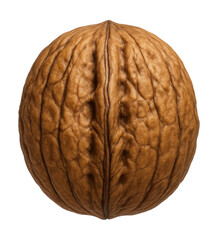 Obraz premium Round walnut with a deeply ridged, textured shell.