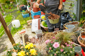 A dedicated gardener meticulously tends to their plants, showcasing vibrant flowers and a diverse...