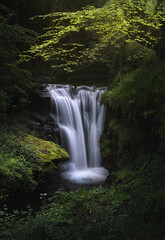Aján waterfall surrounded by lush green forest in Cantabria, Spain