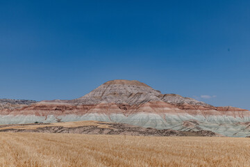 Nallihan Bird Sanctuary Rainbow Hills 