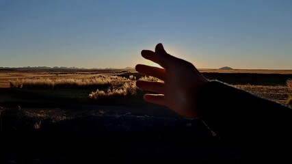 Mano al viento desde la ventana del auto: sensación de libertad y paz. Carretera Dorada al Sol.Estilo de Vida Libre y Aventurero