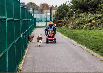 A man in an electric wheelchair walks in the park. Two dogs are on a leash.