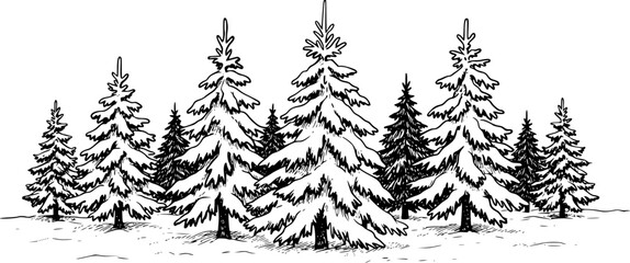 Obraz premium Snow Covered Fir Trees Woodland Scene in Winter Hand Drawn Black and White Outline Line Art Drawing 