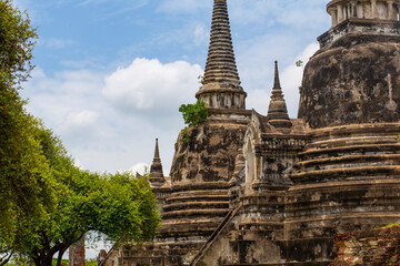 Old Buddhist temple ruins in a green park landscape in Ayutthaya, Thailand