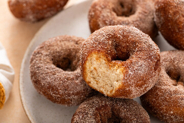 Apple cider or pumpkin spice donuts with a bite taken out