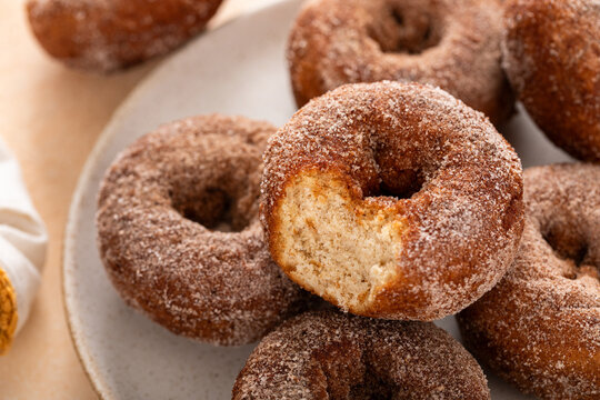 Apple cider or pumpkin spice donuts with a bite taken out