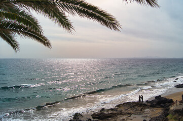 Palm Branch over Playa Blanca Beach Lanzarote © WildFrame