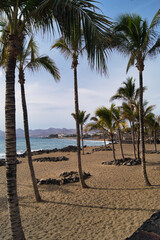 Palm Beach Lanzarote Landscape © WildFrame