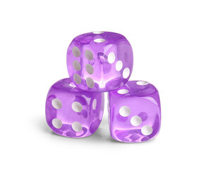 Purple game dices on white background