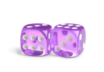Purple game dices on white background