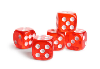 Many red game dices on white background