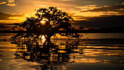 Laguna Grande, Cuyabeno Wildlife Reserve, Ecuador, beautiful sunset © Tomas Drahos