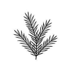 Simple outline of pine branch on transparent background