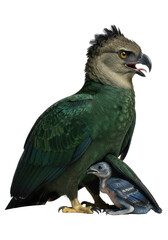 Obraz premium Majestic Emerald Jungle Harpy, vibrant green and purple plumage, protecting its vulnerable dark blue hatchling on a transparent studio background with copy space, soft shadows, primal protection