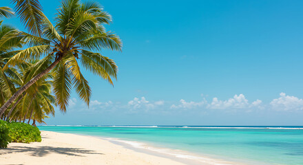 Bright sunny beach with clear blue sky, palm trees, and turquoise ocean waves representing tropical paradise and summer vacation