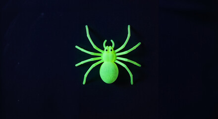 Green plastic spider on a dark background for Halloween decor  