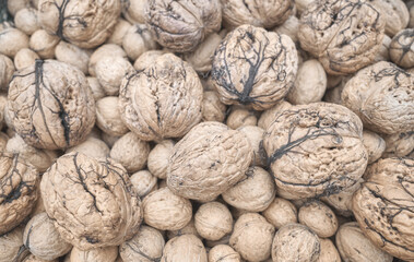 Close up photo walnuts, selective focus.