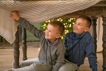 Boys hide under the Christmas table from their parents, waiting for Christmas to come.