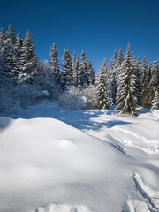 Landscape of Vitosha Mountain, Bulgaria