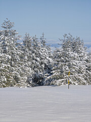 Landscape of Vitosha Mountain, Bulgaria