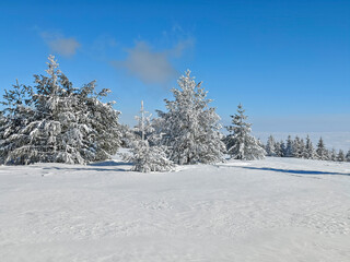 Landscape of Vitosha Mountain, Bulgaria