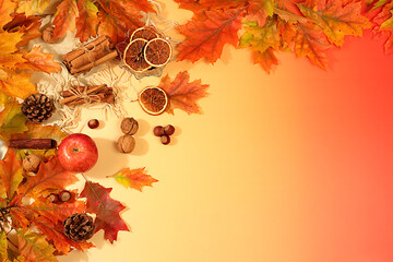 Autumn banner or screensaver, greeting card, abstract composition with maple leaves, pine cones, nuts, cinnamon, star anise and dried oranges, still life and Thanksgiving concept.