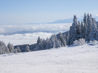 Landscape of Vitosha Mountain, Bulgaria
