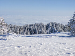 Landscape of Vitosha Mountain, Bulgaria