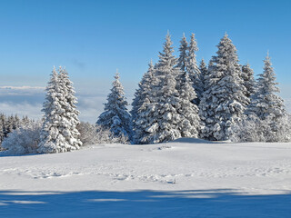 Landscape of Vitosha Mountain, Bulgaria